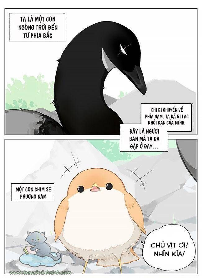 chim sẻ gọi ngỗng trời chapter 8 2