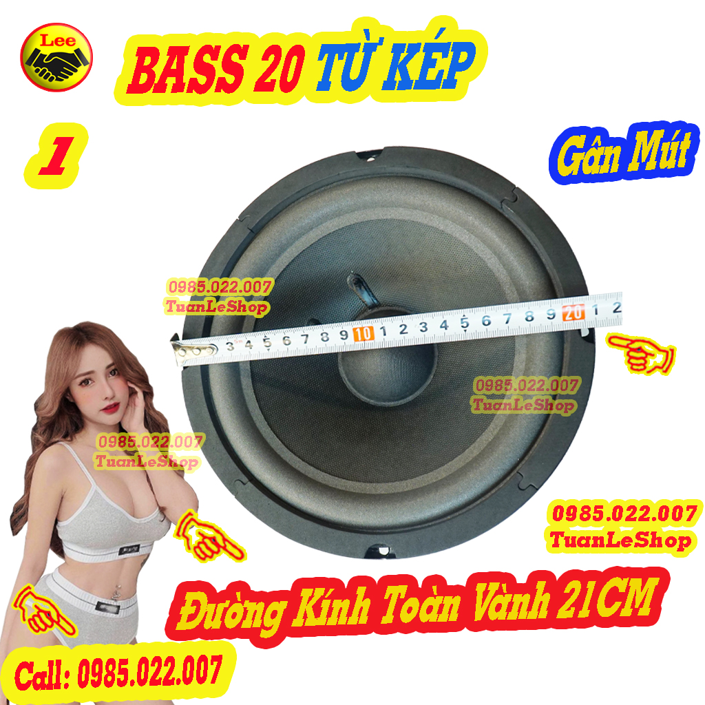 MỘT CỦ LOA BASS 20 TỪ KÉP 120 -100 - LOA BASS RỜI