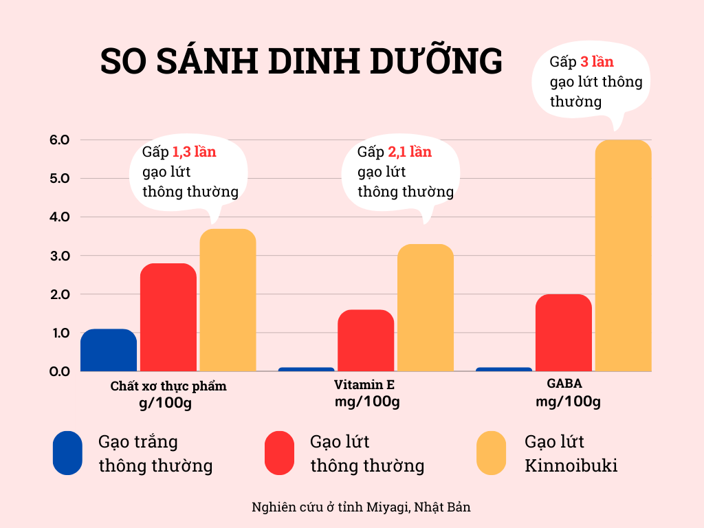 GẠO LỨT NHẬT KINNOIBUKI