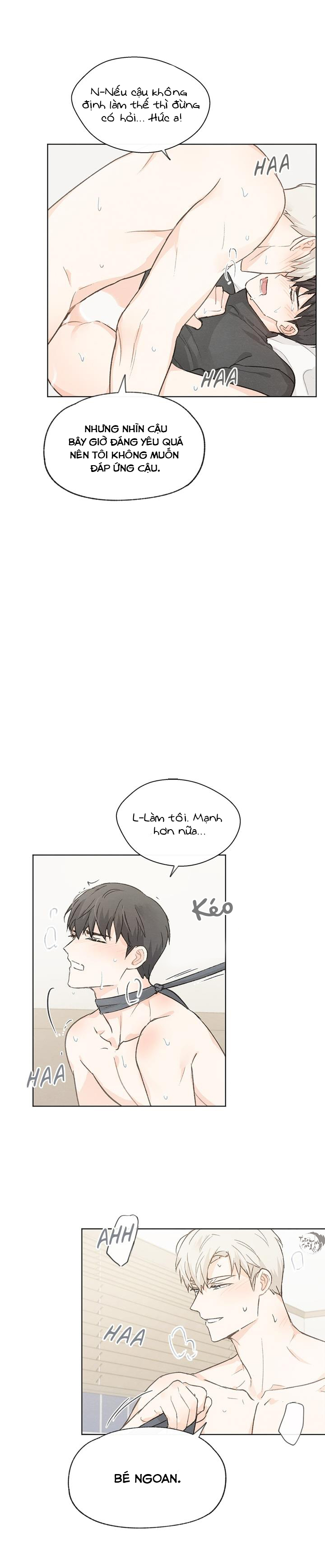 giữa yêu và ghét chapter 38 4