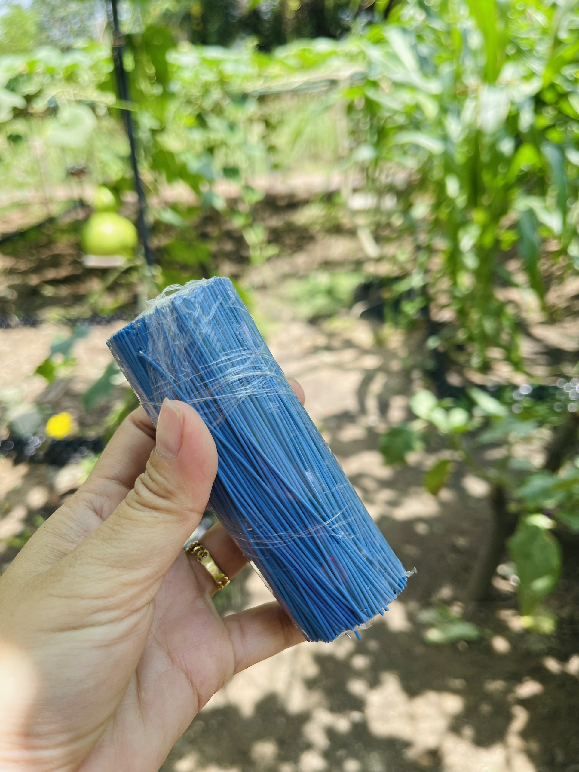 100 dây kẽm bọc nhựa 10cm