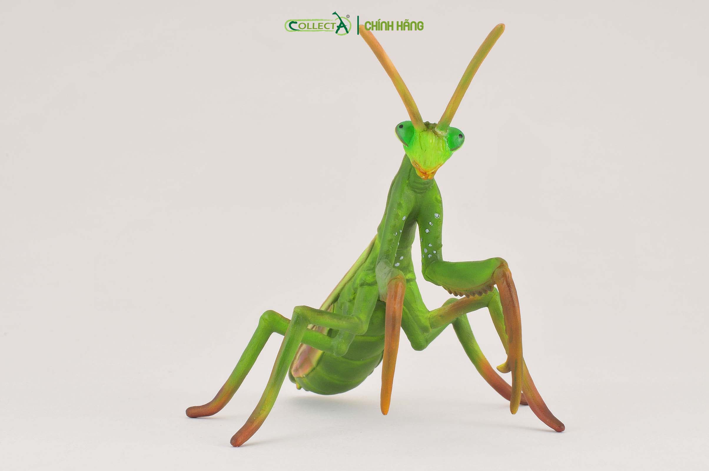 Mô hình thu nhỏ: Bọ Ngựa - Praying Mantis, hiệu: CollectA, mã HS 9653030[88351] -  Chất liệu an toàn cho trẻ - Hàng chính hãng