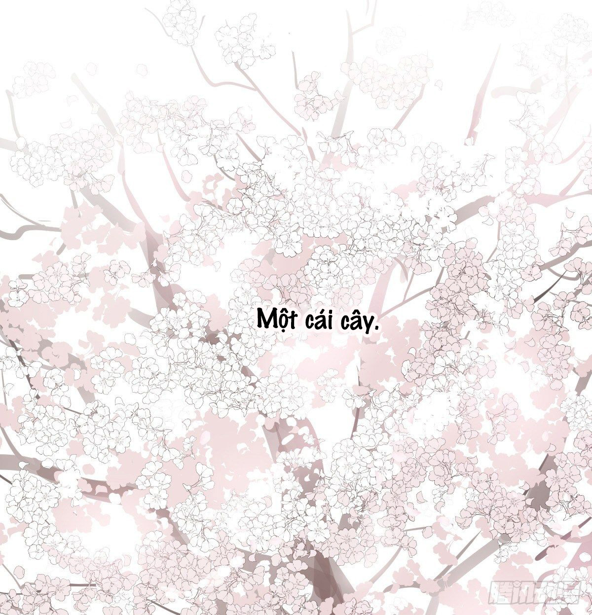 bắt lấy ngao ngao chapter 132 58