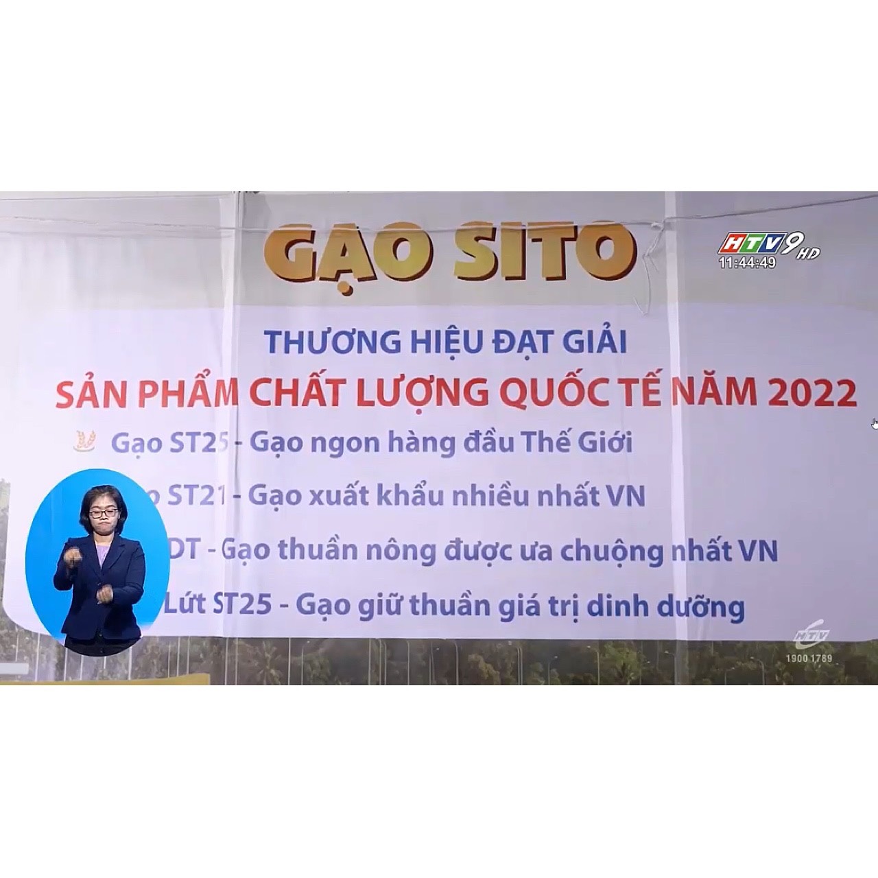 Gạo lứt ST25 SITO RICE Túi 1kg