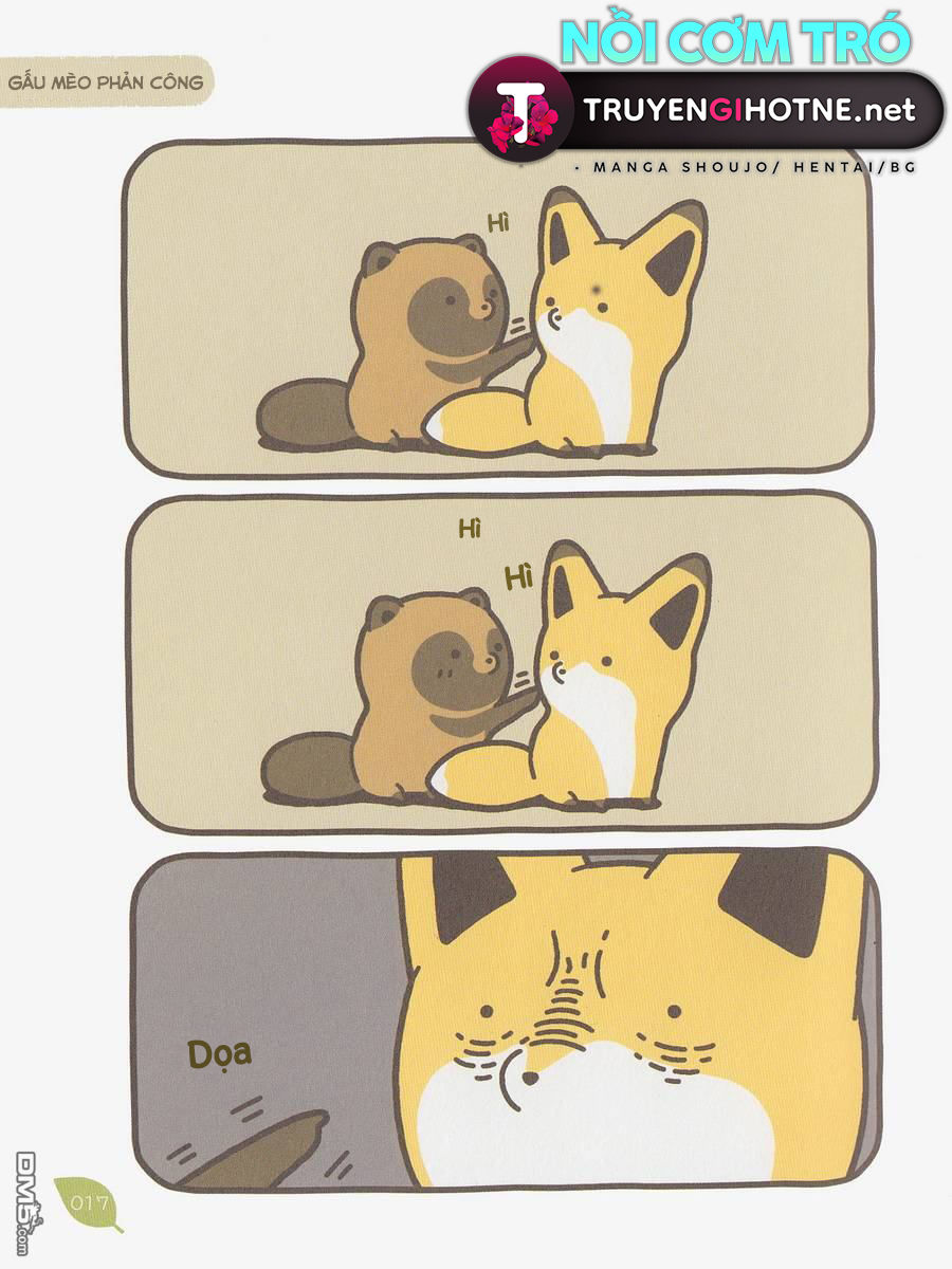 cáo và gấu mèo chapter 2 5