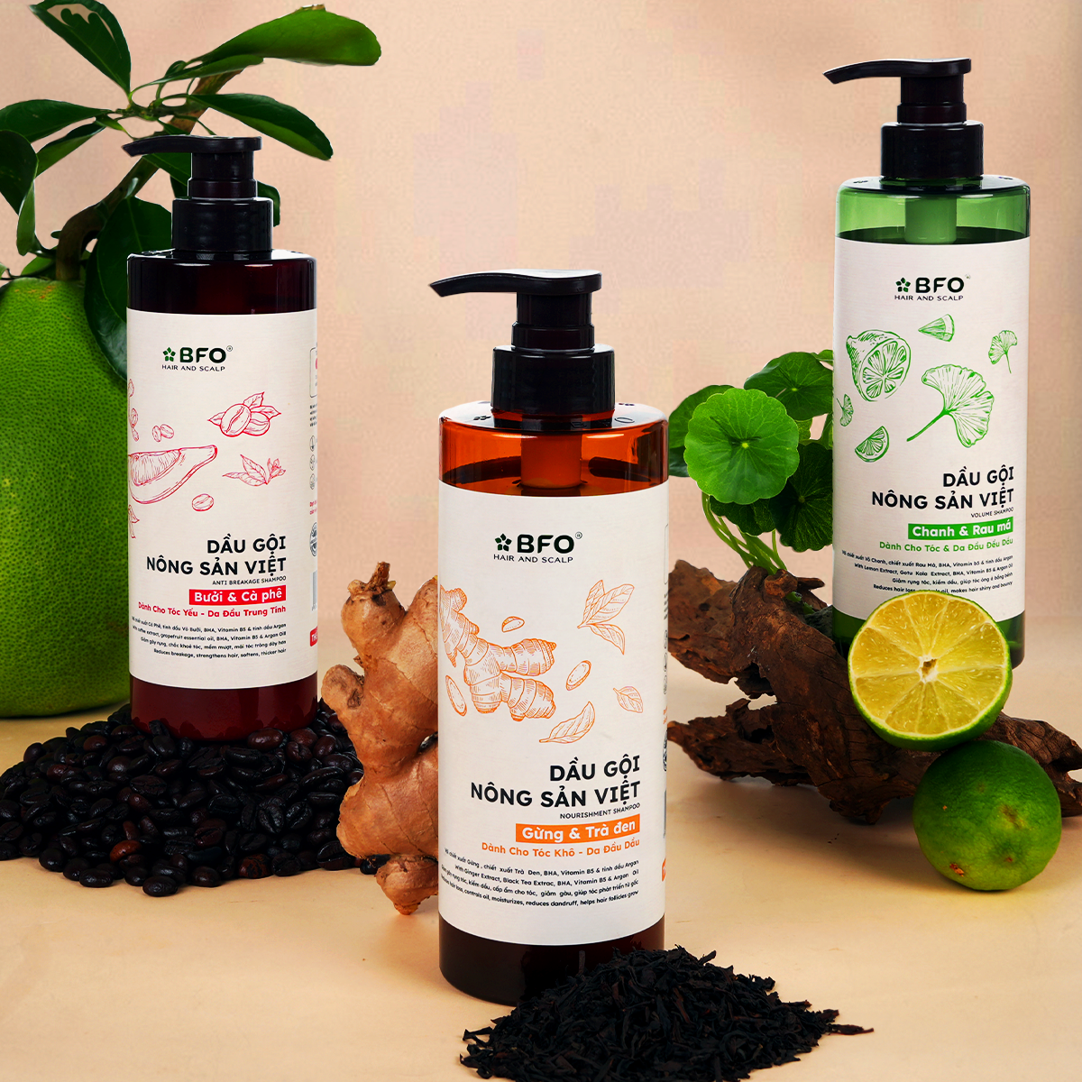 Combo Dầu Gội &amp; Dầu Xả Chiết Xuất Nông Sản Việt Gừng, Bưởi, Chanh 500ml | Làm Sạch, Nuôi Dưỡng Da Đầu, Tự Hào Hàng Việt - Gừng &amp; Trà đen