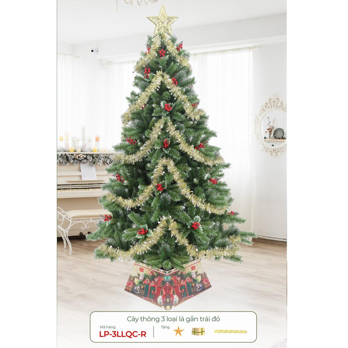 Cây Thông Noel 3 Loại Lá Gắn Trái Đỏ180 cm - Chaang Chiia LP-3LLQC-6R