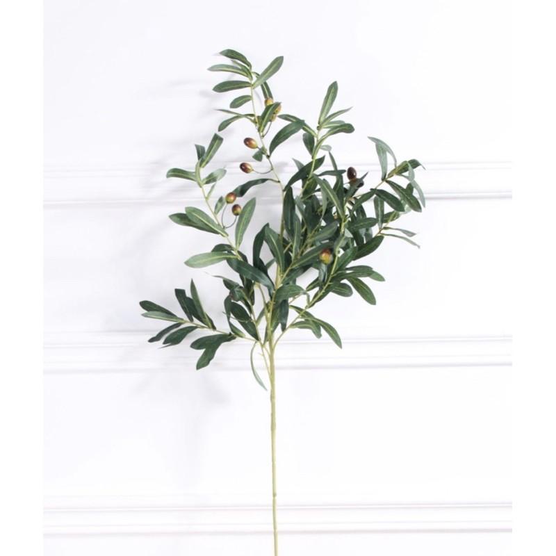 Cành lá olive có quả trang trí nhà, hoa decor chụp ảnh cao cấp