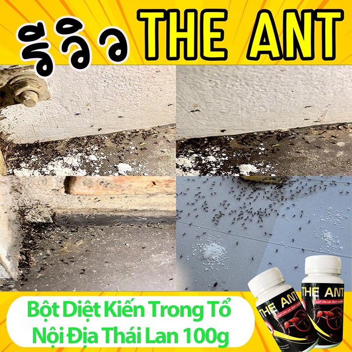 Bột Diệt Kiến Gián Mối THE ANTS 100g Nội Địa Thái Lan Dùng 1 Lần Diệt Cả Ổ Trong 5 Phút Tặng Thìa Xúc Bột
