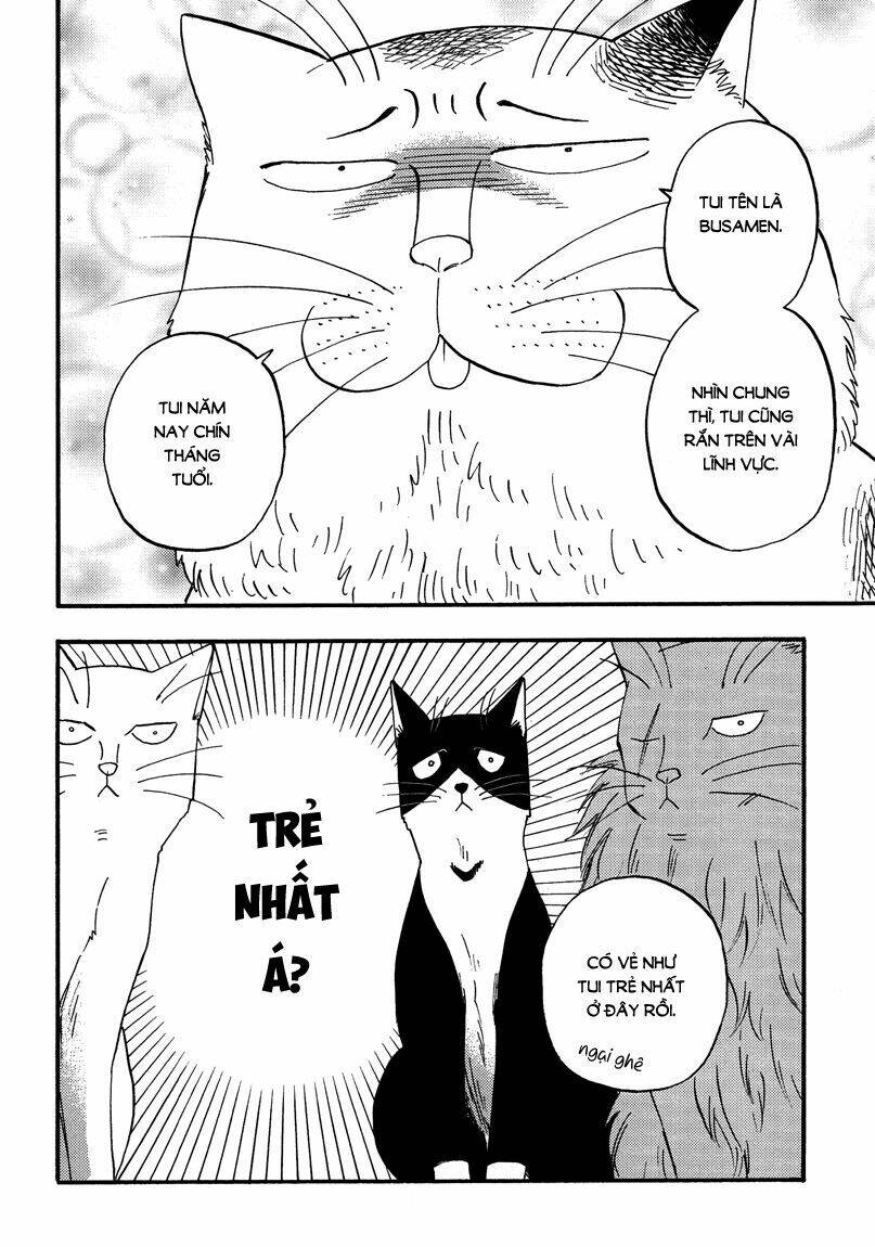 tui là busamen! chapter 6 13