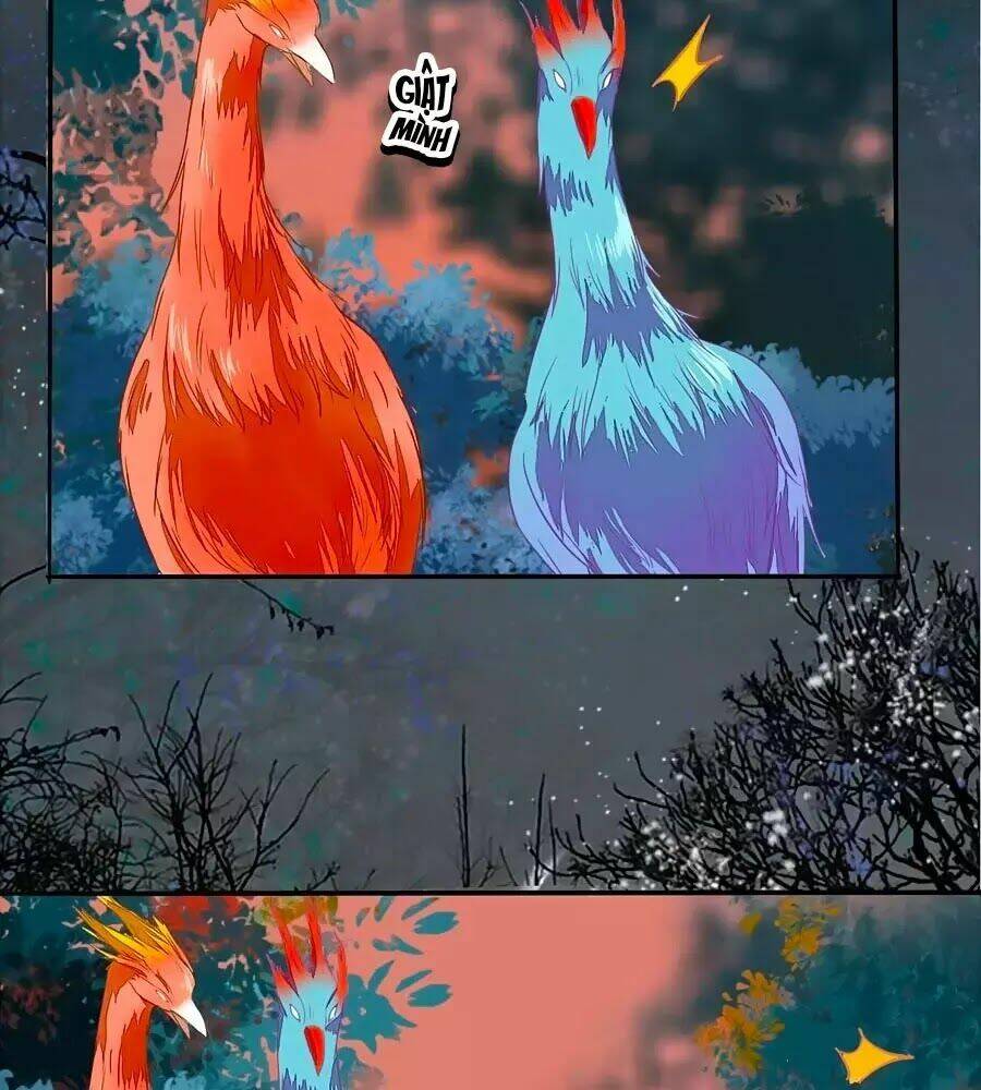 thần y khí nữ: ngự thú cuồng phi của quỷ đế chapter 70 3