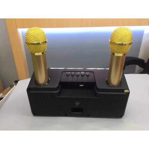 Loa Karaoke SD 301/309 Kèm 2 Micro Không Dây tích hợp bluetooth 4.0 - usb - thẻ nhớ