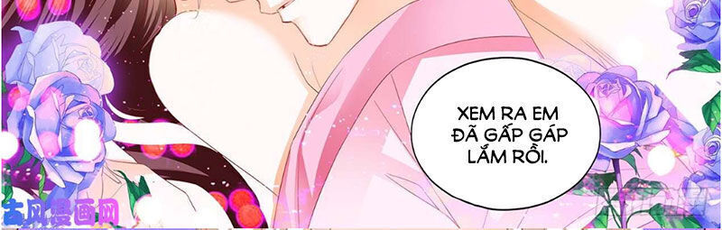 lóe thiểm hôn kiều thê mơ tưởng trốn chapter 263 12