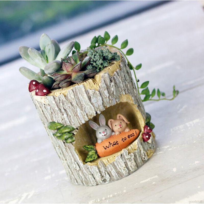 Mô hình chậu cây sương rồng sáng tạo