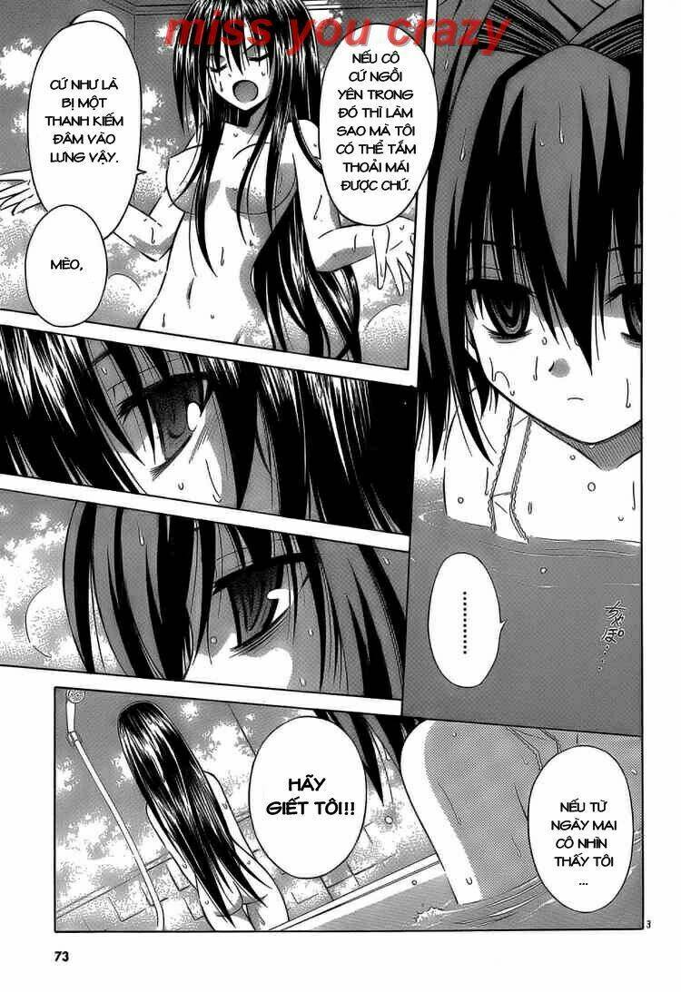 omamori himari chapter 31 3