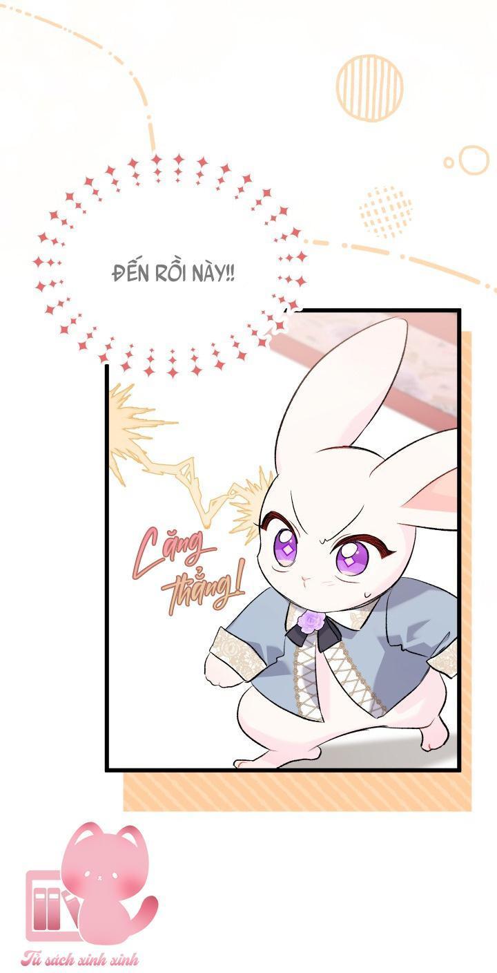 quan hệ cộng sinh giữa báo đen và thỏ trắng chapter 84 36