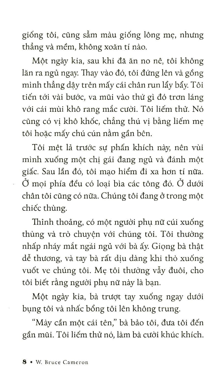 Chuyện Về Molly