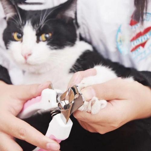 Dụng cụ cắt và dũa móng cho chó mèo- trọn bộ kèm dũa móng