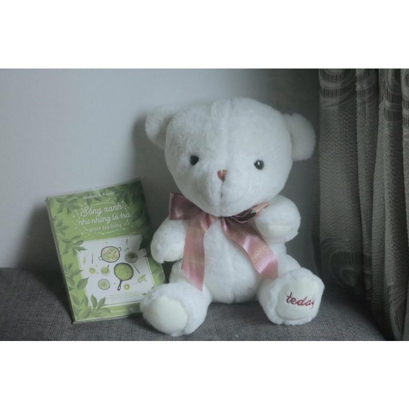 Gấu bông Teddy đeo nơ cao cấp mẫu mới nhất 2022