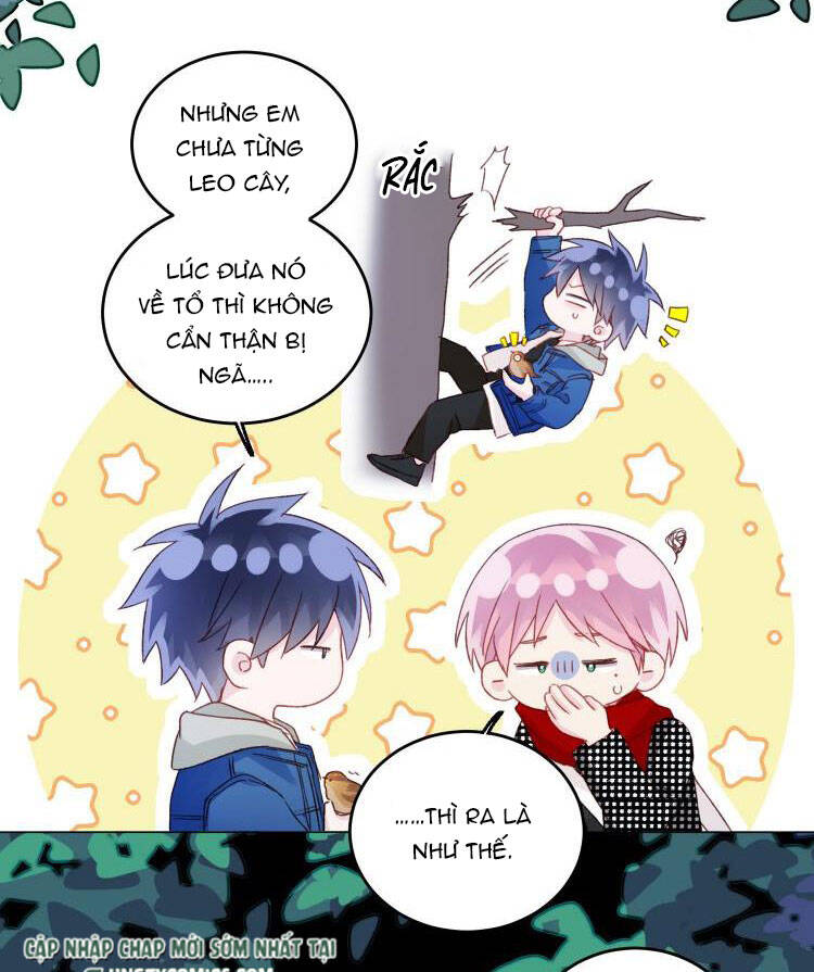 tôi phải làm 1 kẻ đại xấu xa chapter 43 21