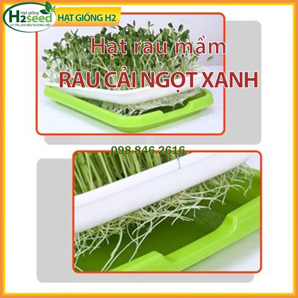 Gói 100g Hạt rau mầm rau cải ngọt xanh - chất lượng tốt, nảy mầm đều