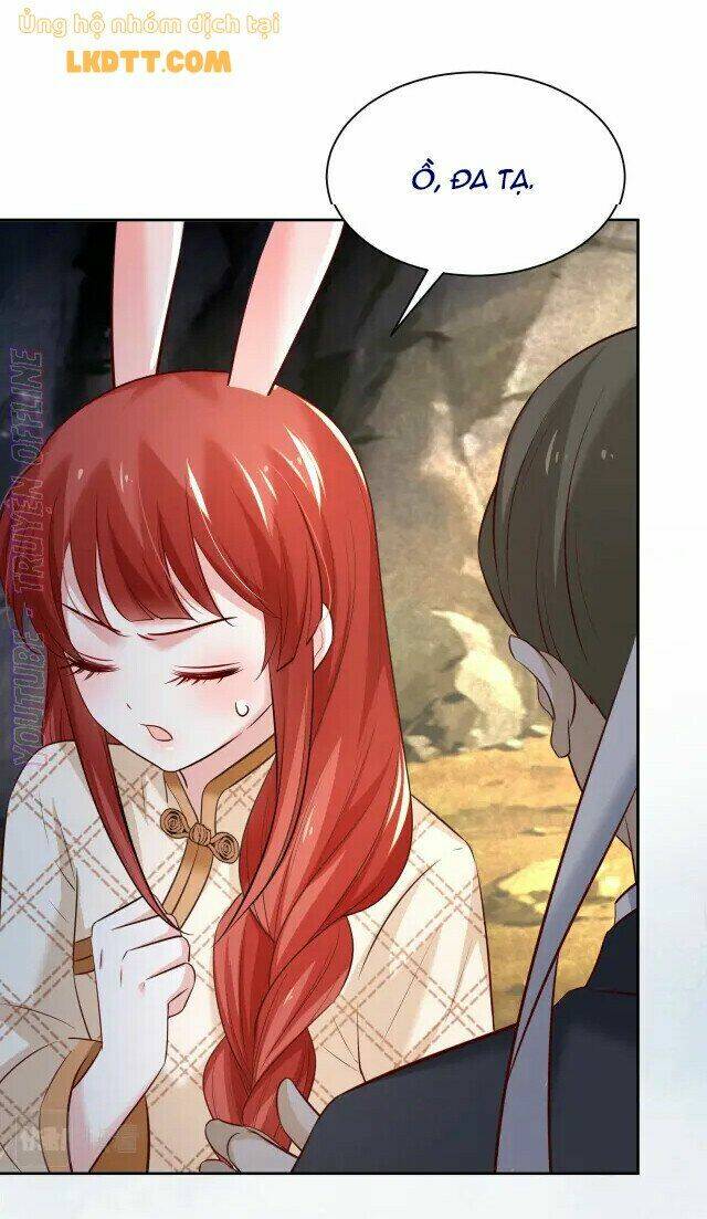 hắc hóa nam chính trực tuyến nuôi thỏ chapter 41 35