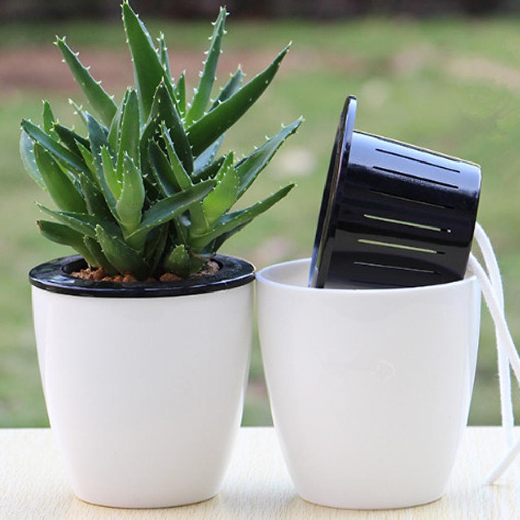 -watering Plant Flower Pot Garden  Planter Decor