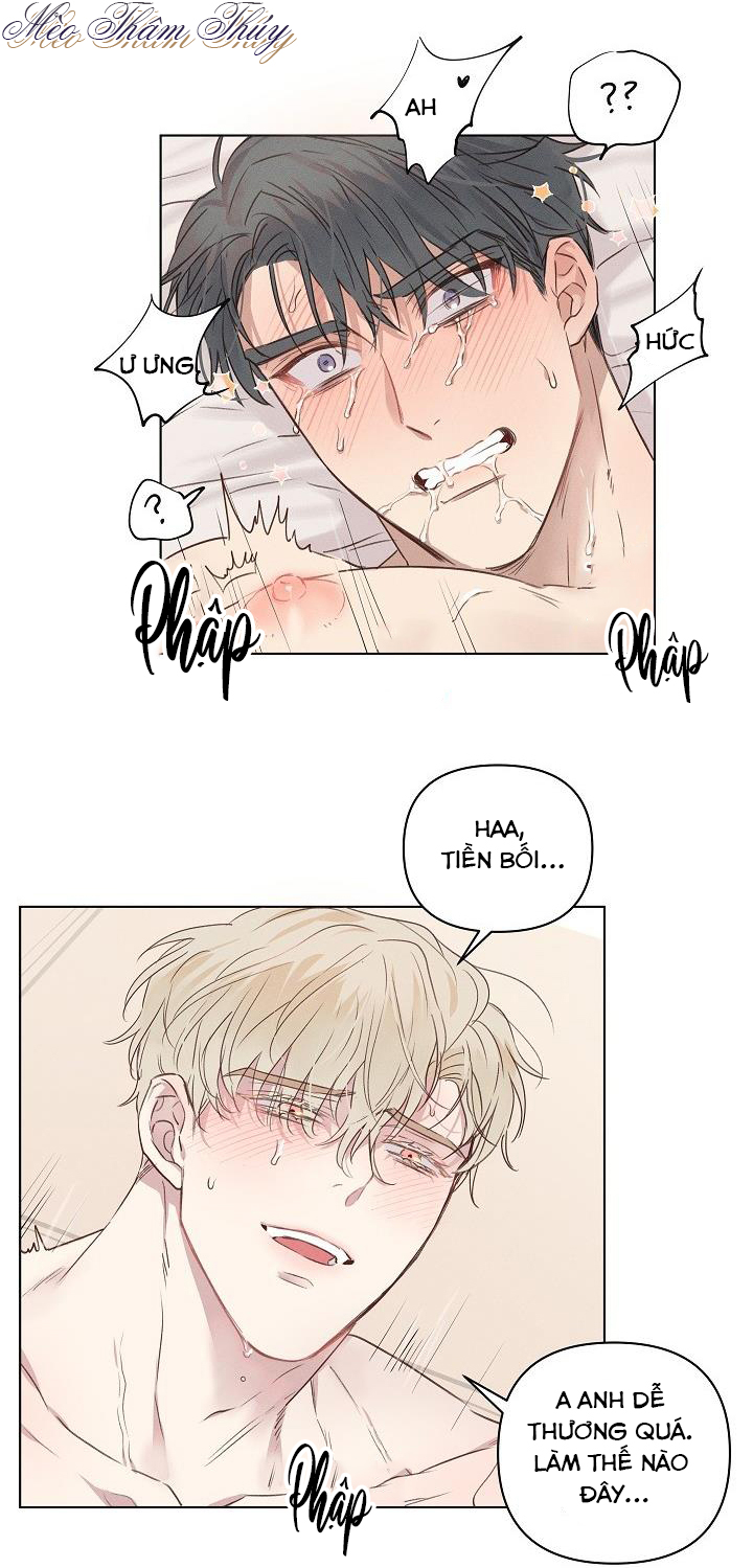 nơi tình yêu định mệnh chapter 4 8