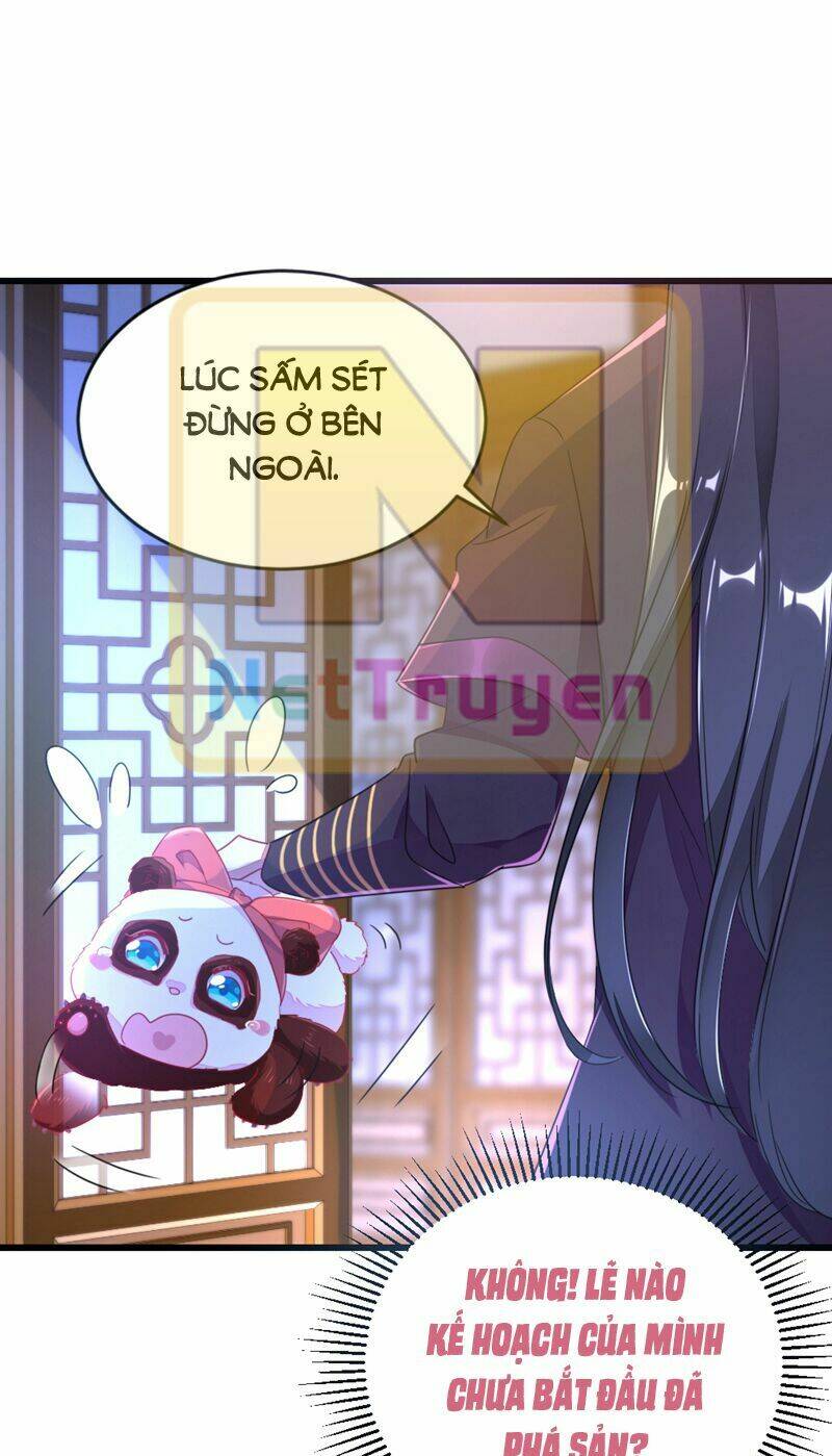 thiên thần gấu trúc muốn được ôm chapter 25 8