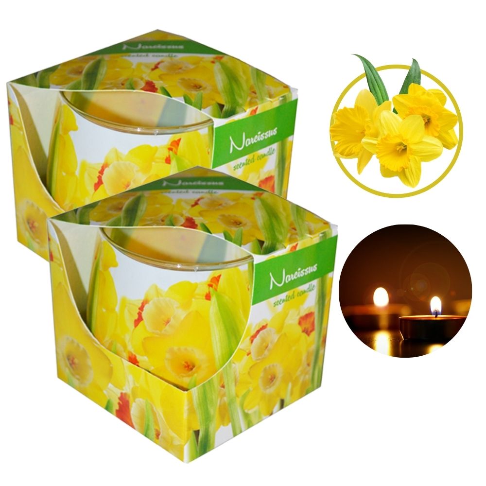 Combo 2 ly nến thơm tinh dầu Admit Narcissus 100g - thủy tiên vàng, nến trang trí, thơm phòng, thư giãn, khử mùi