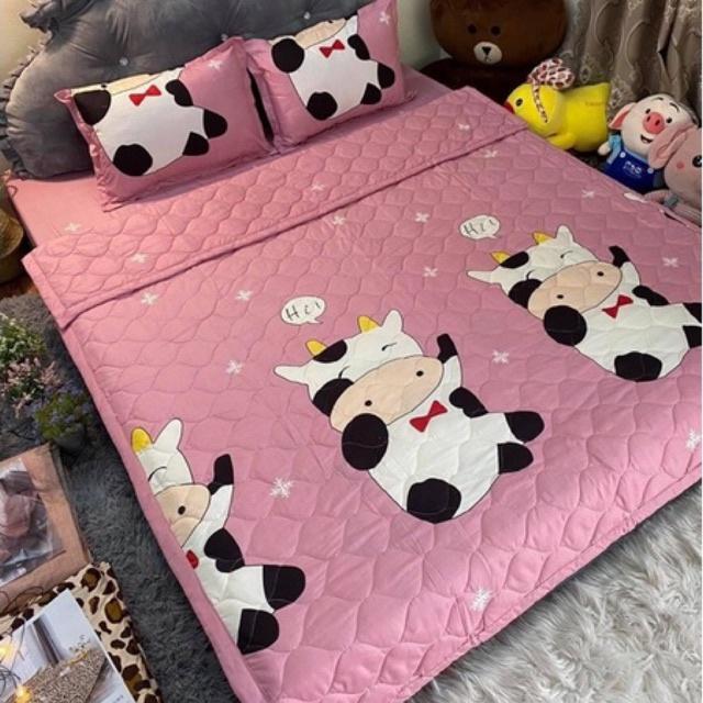 Bộ Chăn hè Ga Gối Cotton Poly Combo 5 Món - Nhiều Mẫu Lựa Chọn