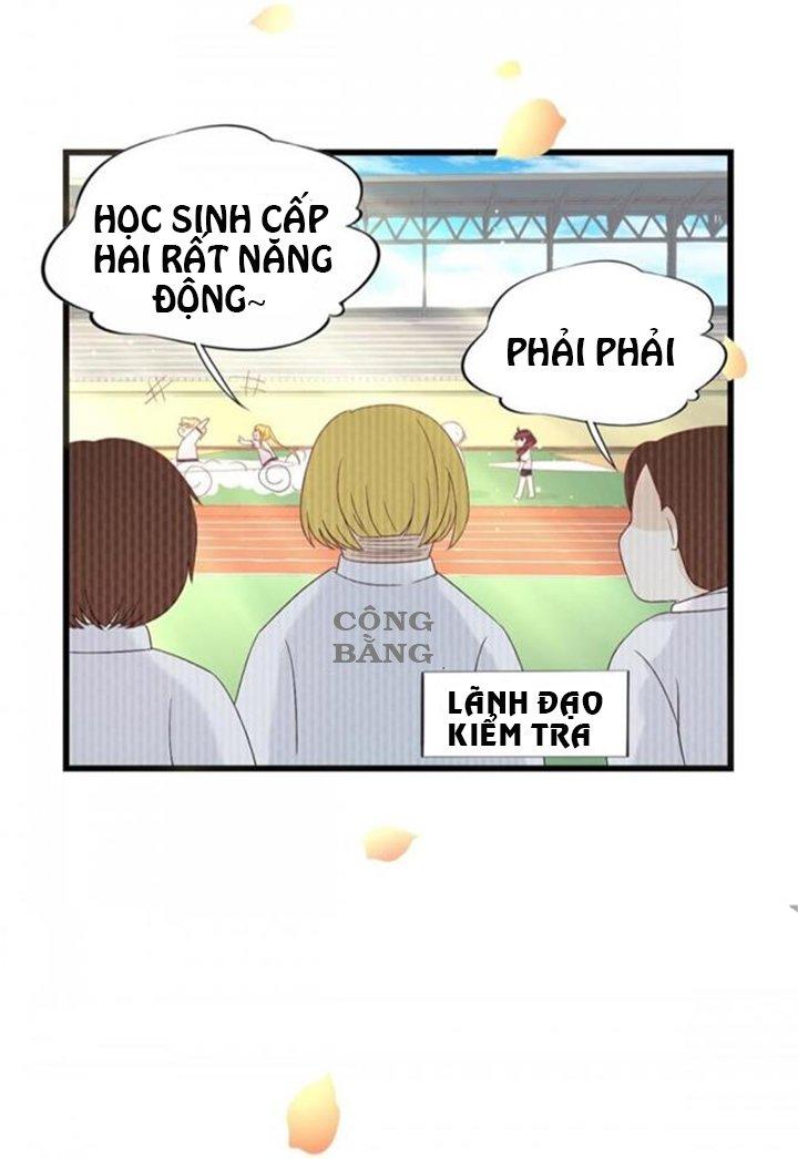 tình yêu bốn mùa chapter 19 41