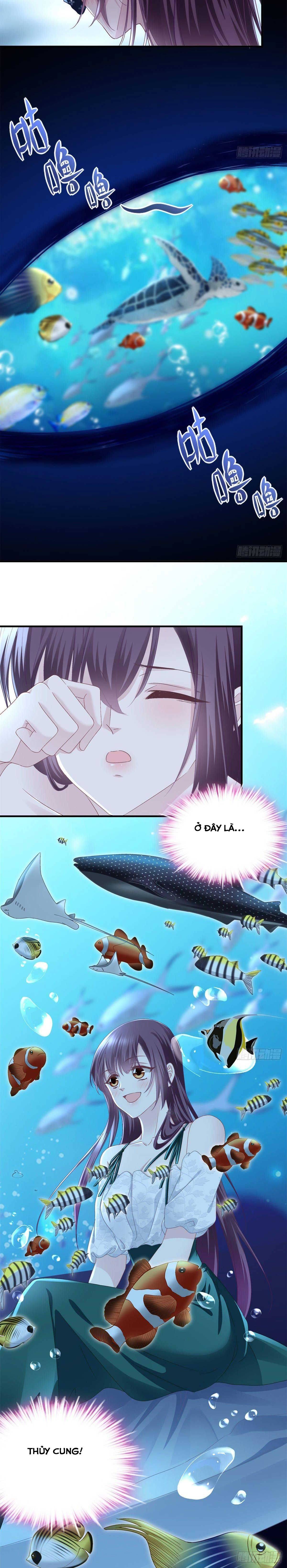 trọng sinh về chinh phục tổng tài chapter 65 14