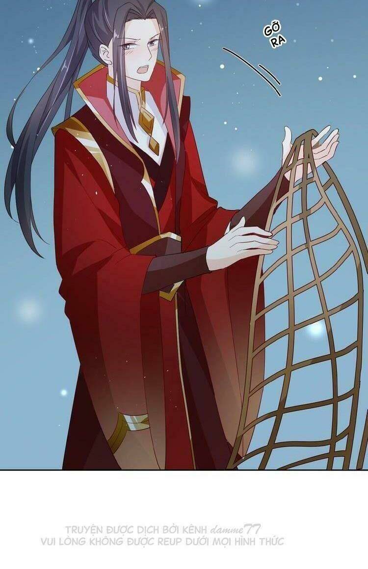 ngạo kiều vương gia huyên náo phi chapter 24 10