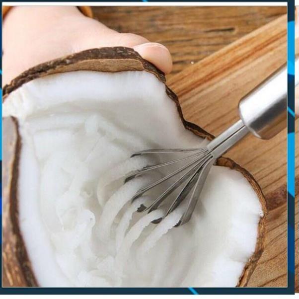 Dụng cụ đánh vảy cá và nạo dừa