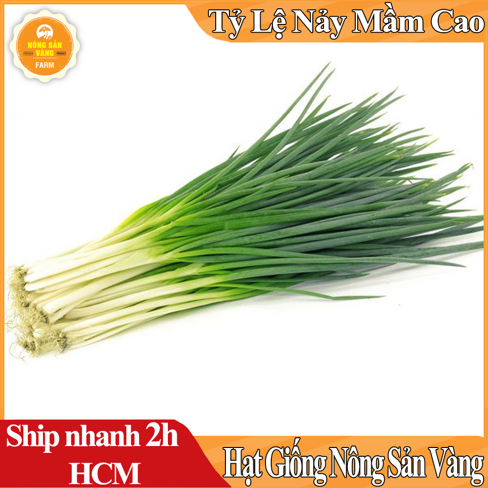 Hạt giống Hành Lá, Dễ Trồng, Thiết Yếu Cho Mỗi Bữa Cơm Gia Đình - Nông Sản Vàng
