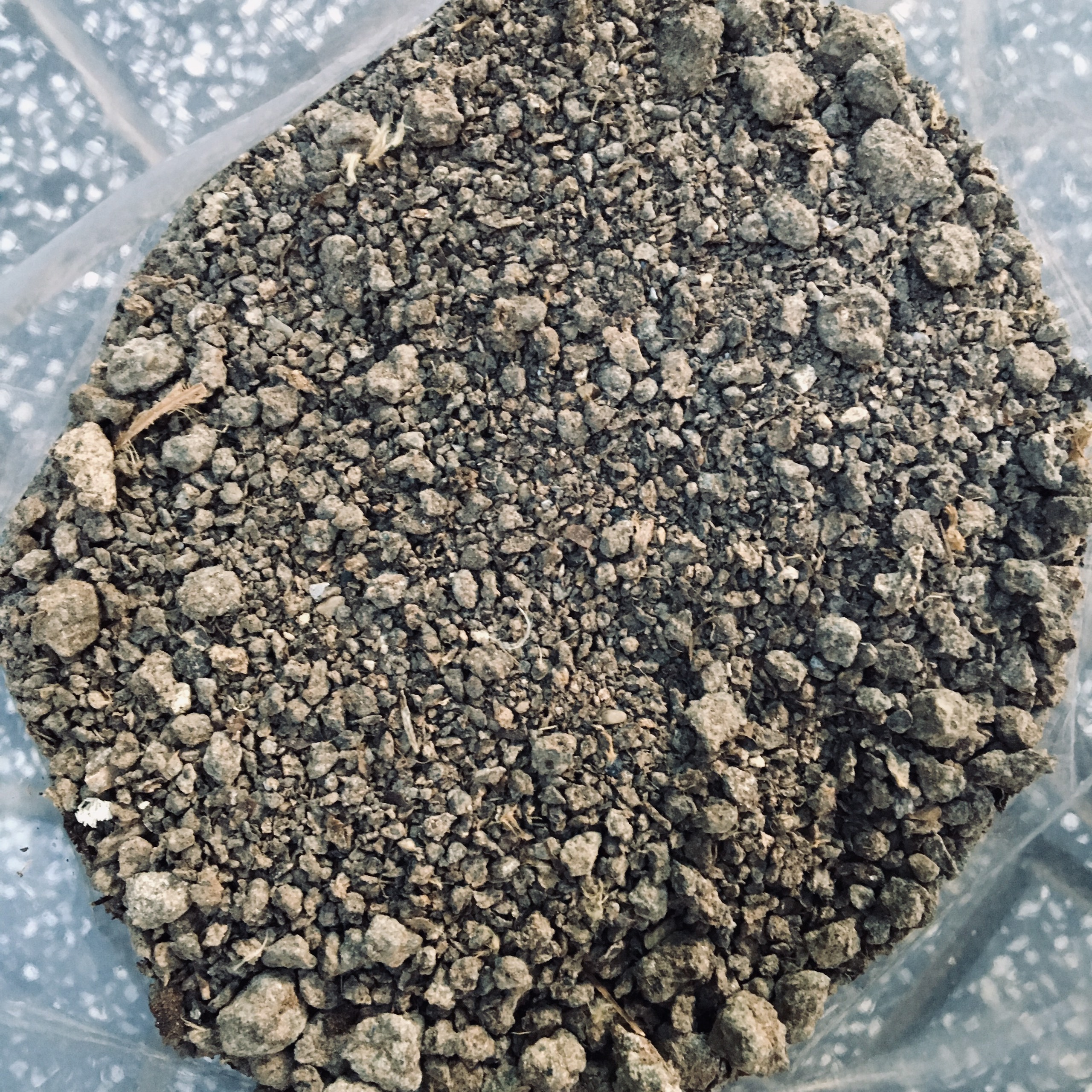 1KG PHÂN GÀ KHÔ NHẬT BẢN ĐÃ QUA XỬ LÝ - SẢN PHẨM Y HÌNH