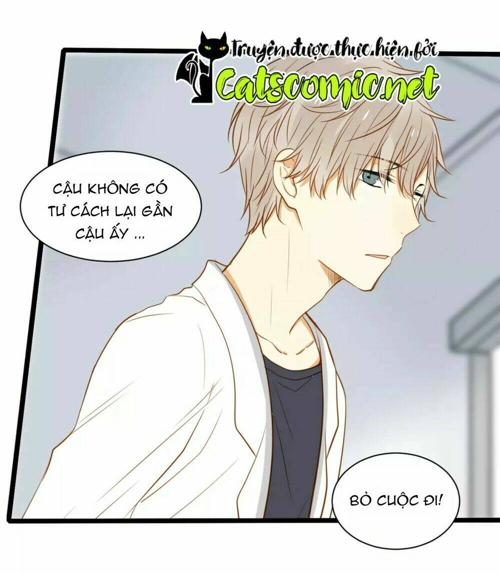 điều giáo quan hệ chapter 19 12