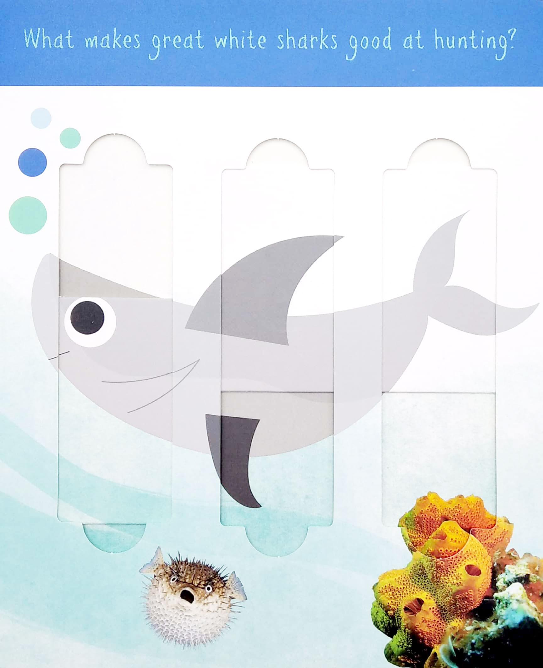 Little Wonders: Ocean Animals - 5 Puzzles