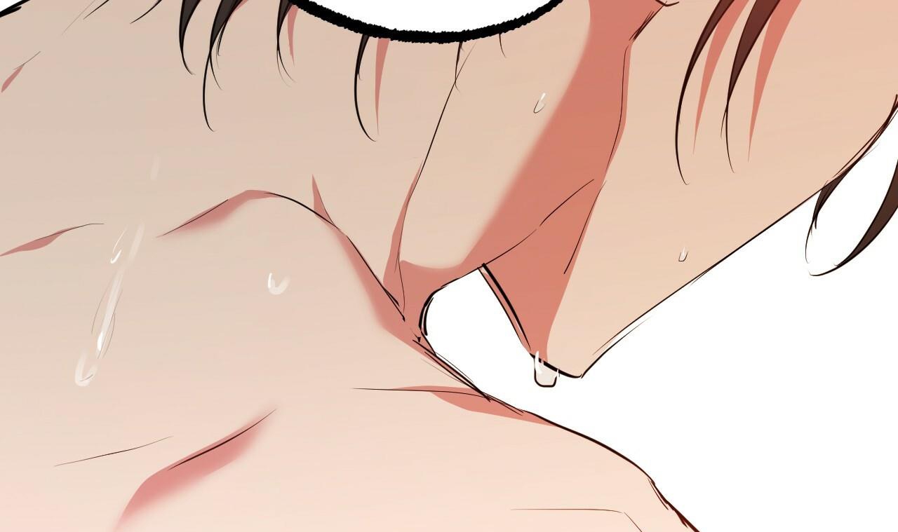 đàn thỏ của habibi chapter 38 152