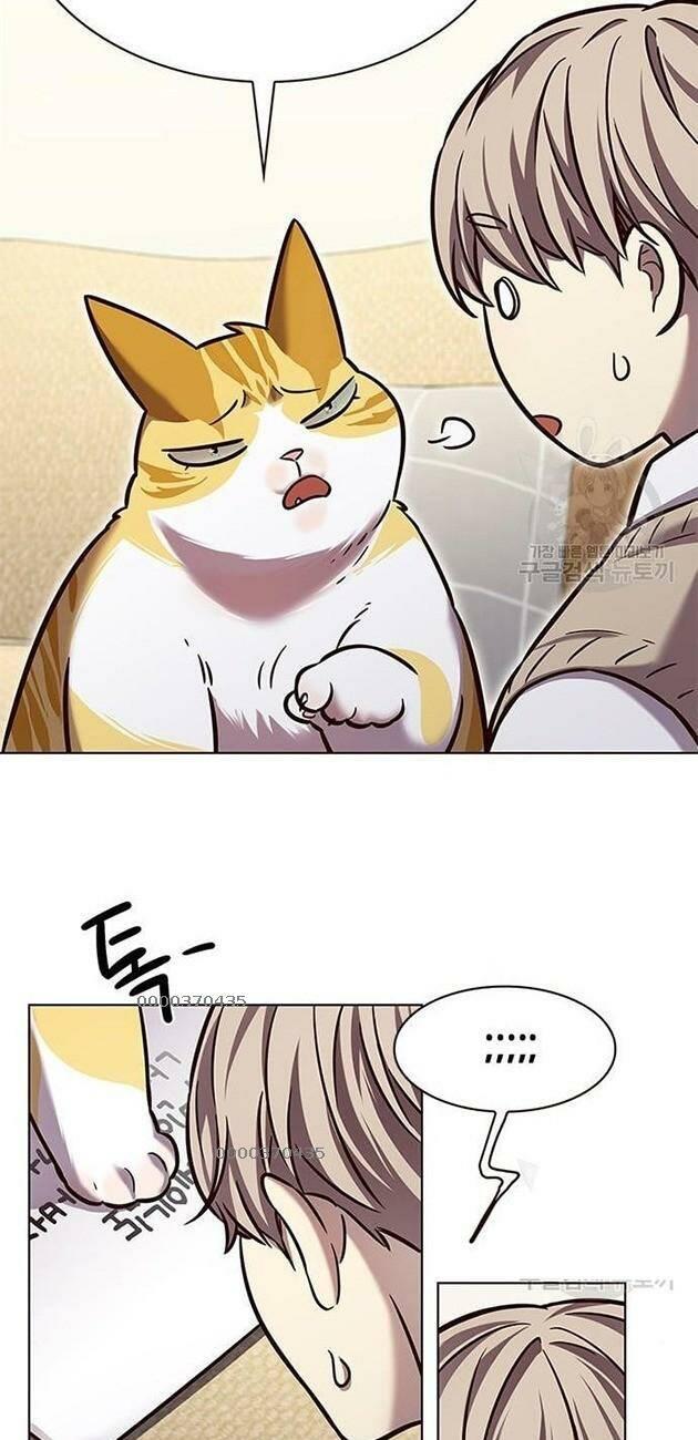 biến thân thành mèo chapter 228 17