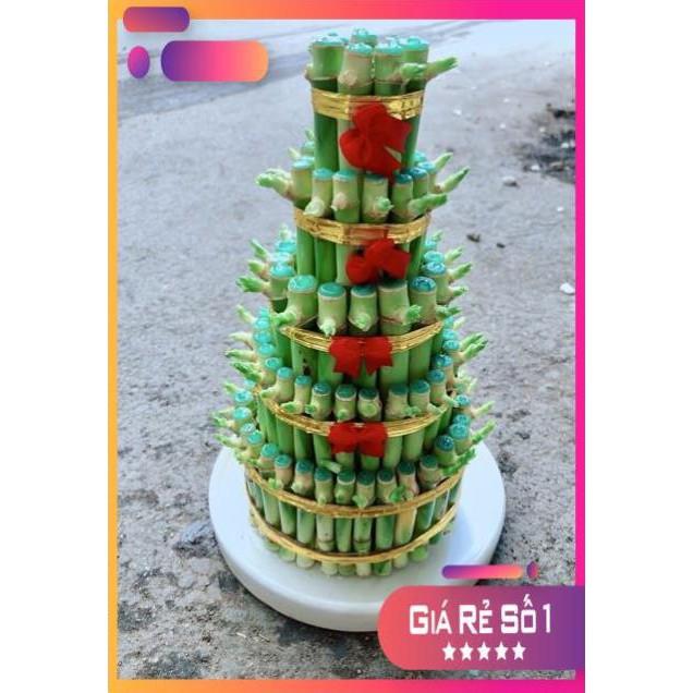 Cây Trúc Phát Tài Kèm Dĩa