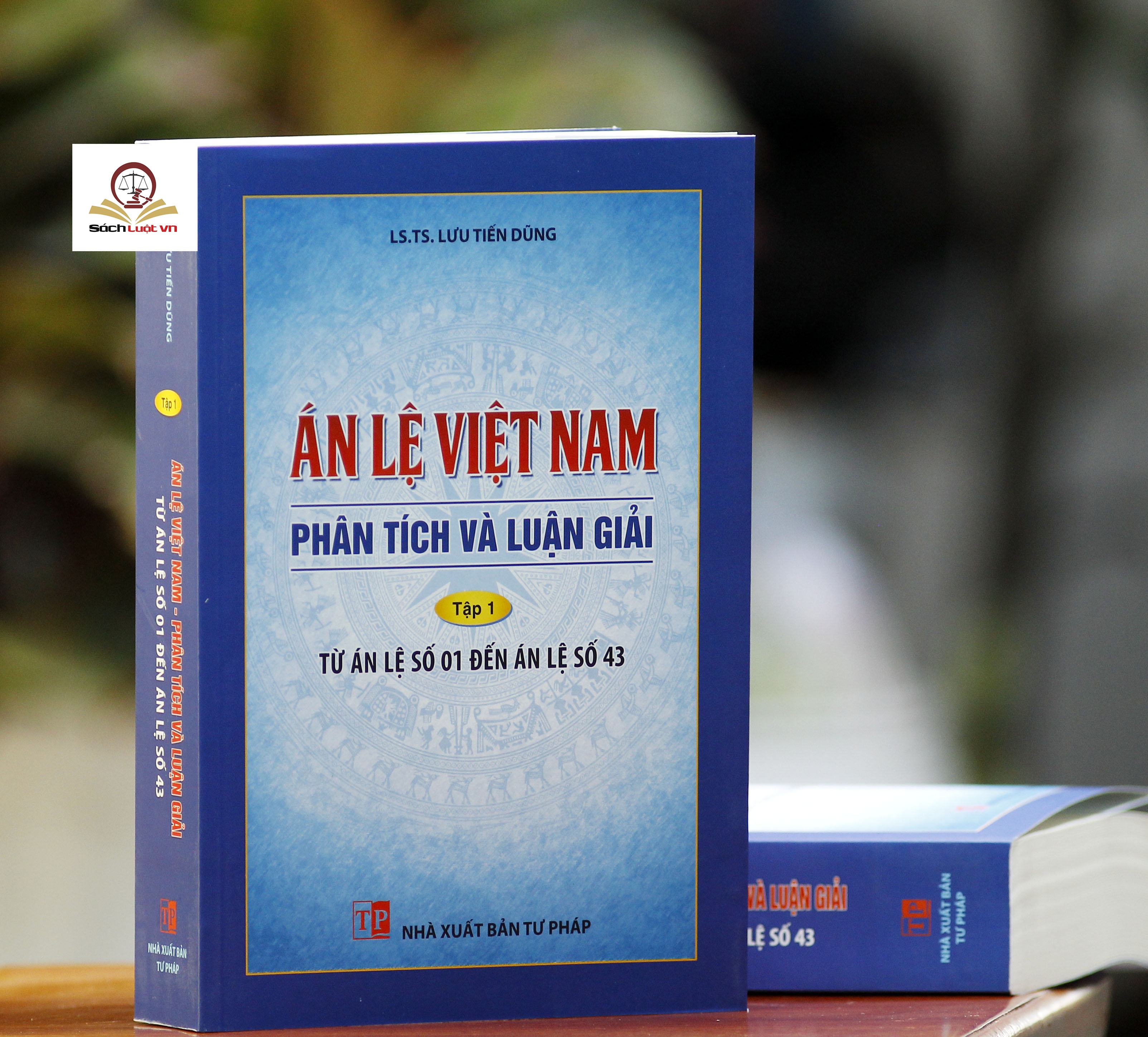 Án lệ Việt Nam - Phân tích và luận giải (tập 1 và 2)