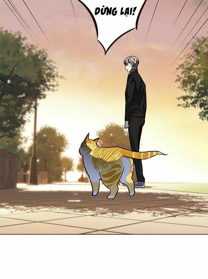 biến thân thành mèo chapter 80 70