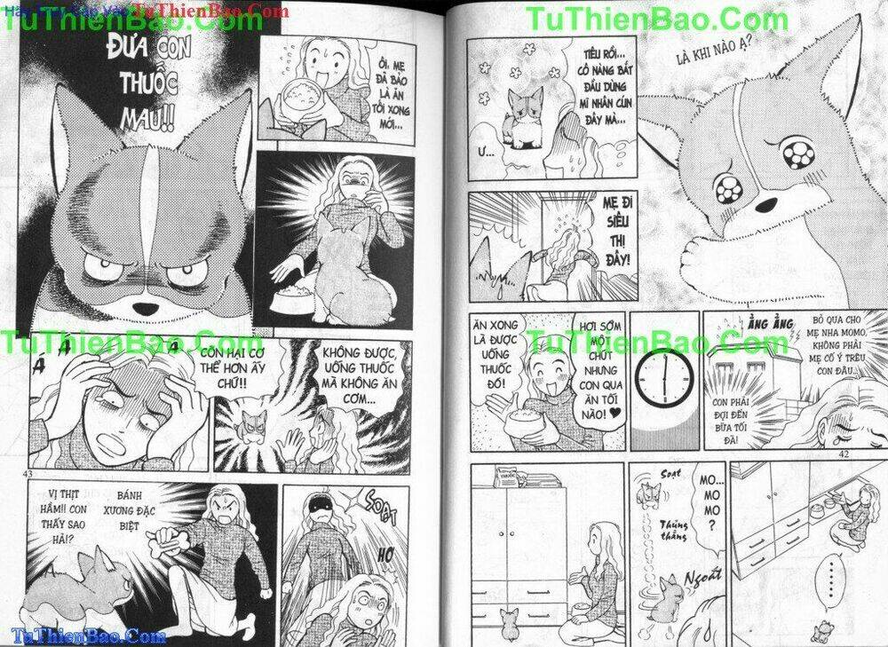 chó con mo mo chapter 3 23