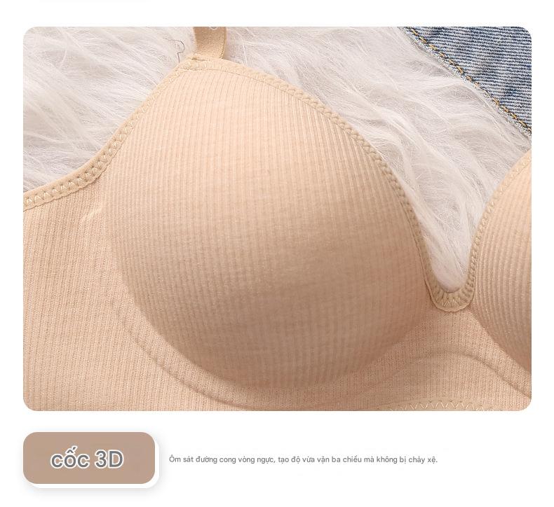 Áo Lót Nữ Mút Mỏng Không Gọng Su Tăm Trơn 218 (Size 36–42)