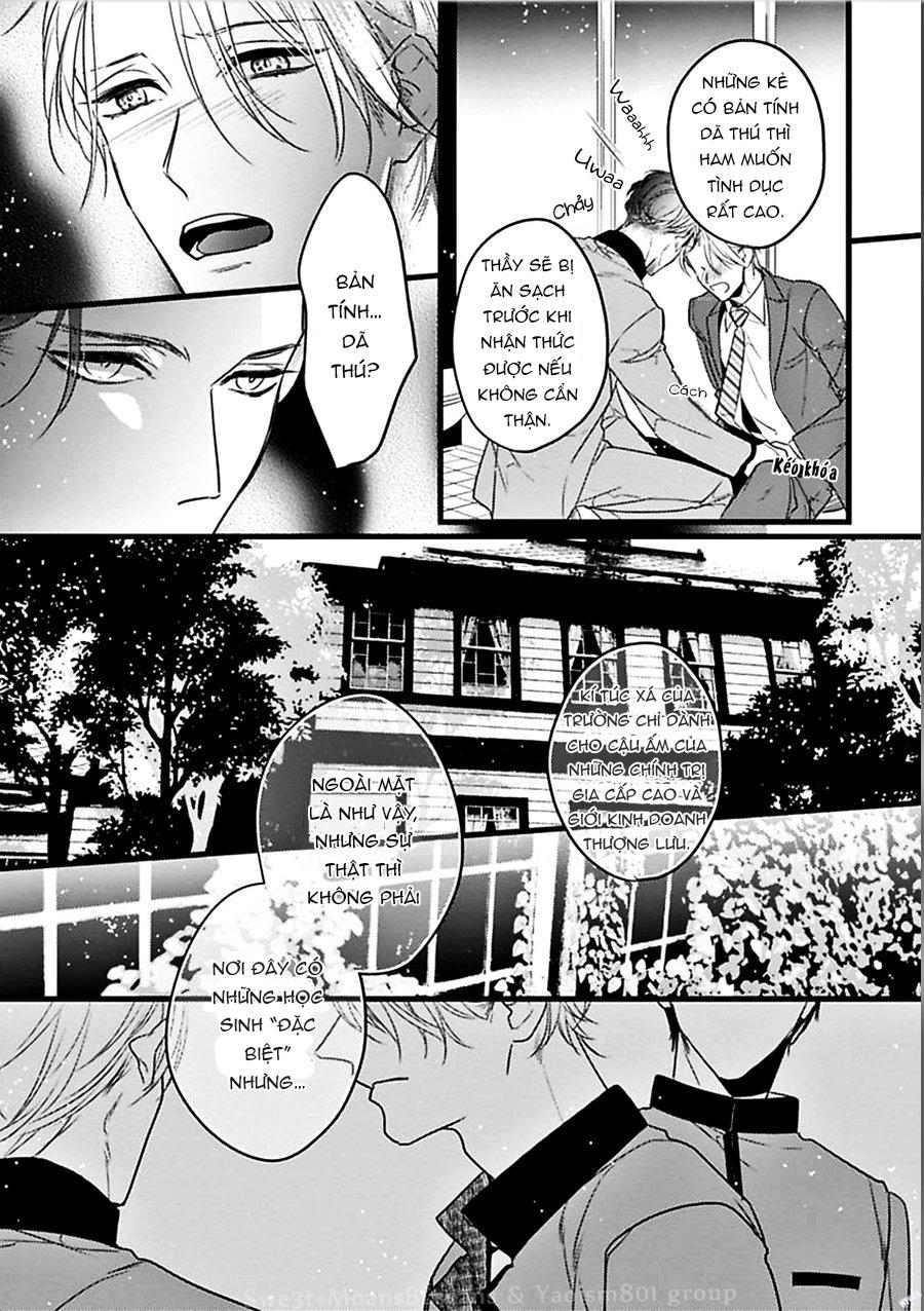 trăng sáng xuất hiện nơi khu rừng huyền bí chapter 1 26