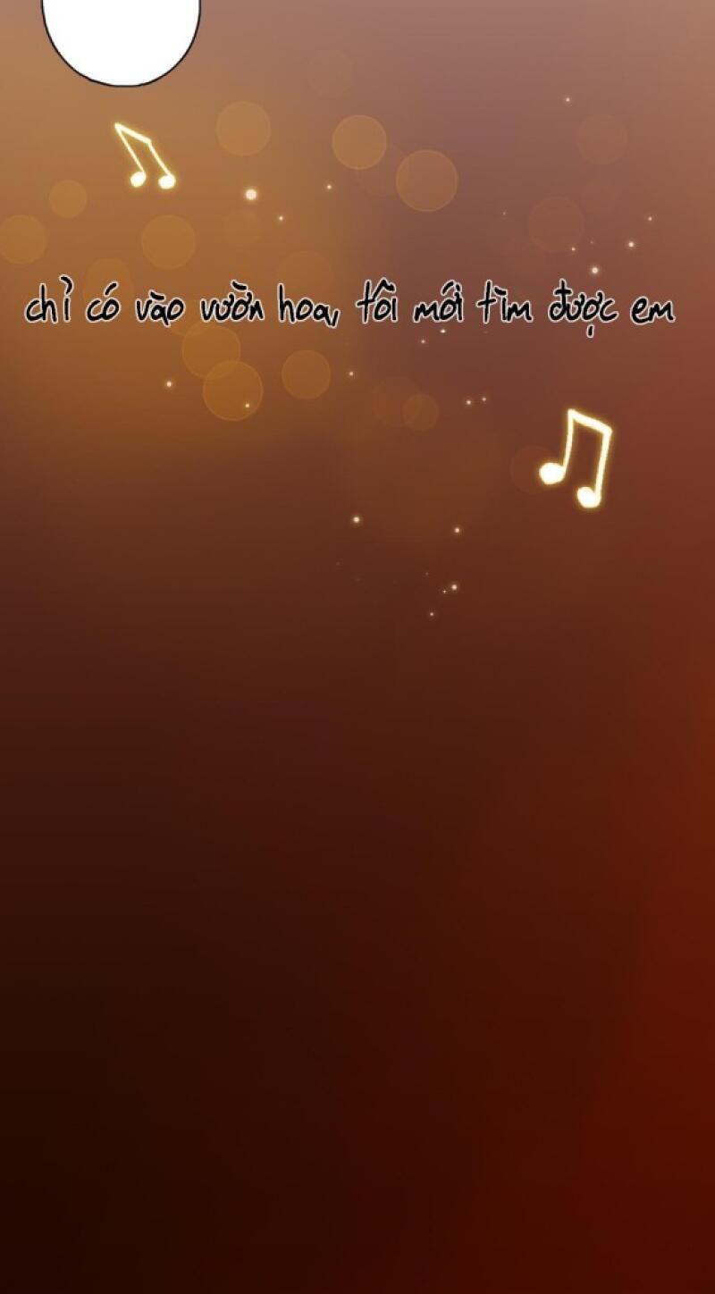 image 23