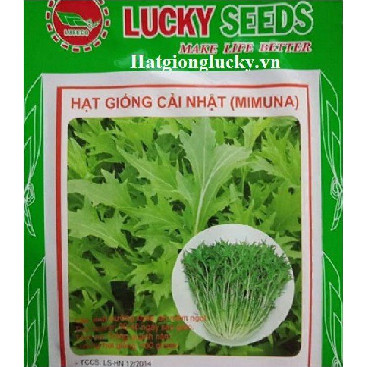 Hạt giống rau cải nhật xanh - 10gr/gói