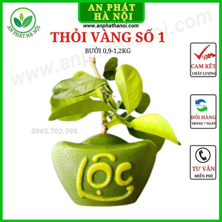 Khuôn Tạo Hinh Trái Cây - Khuôn Bưởi hình Thỏi Vàng, Hồ Lô, Giọt Nước, Tiểu Đồng Loại Đẹp, dày, in chữ Tài Lộc Nét, bền